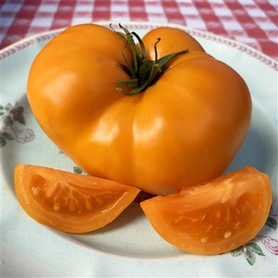 🍅ORLOV YELLOW GIANT TOMATO🍅 x 10 seeds_1