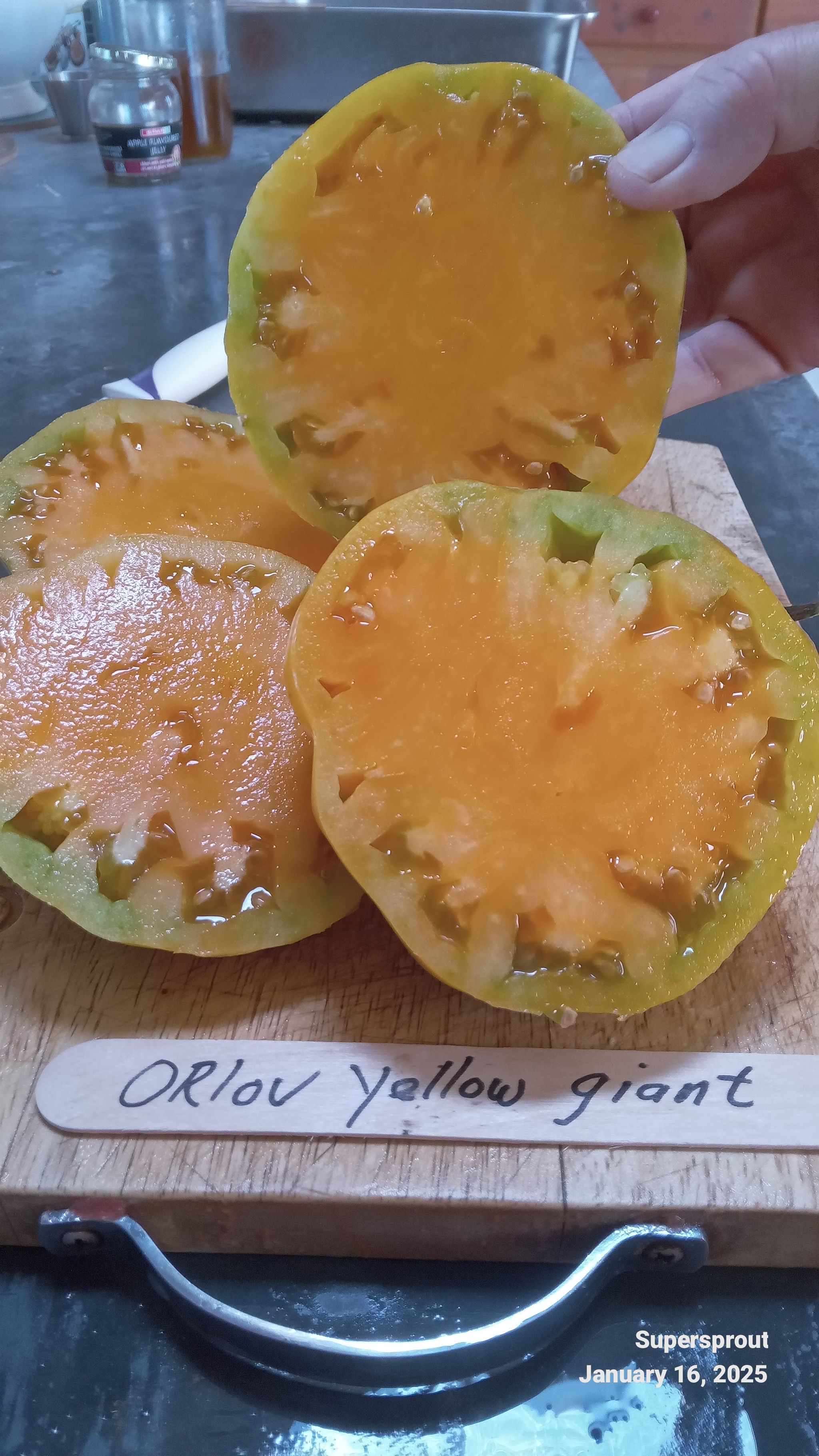 🍅ORLOV YELLOW GIANT TOMATO🍅 x 10 seeds_3