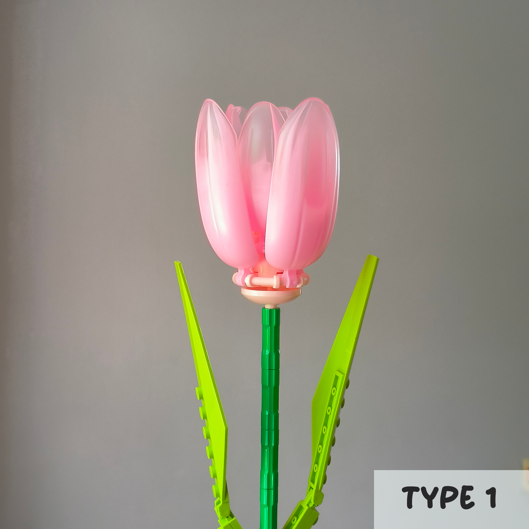 Pink Tulips_1