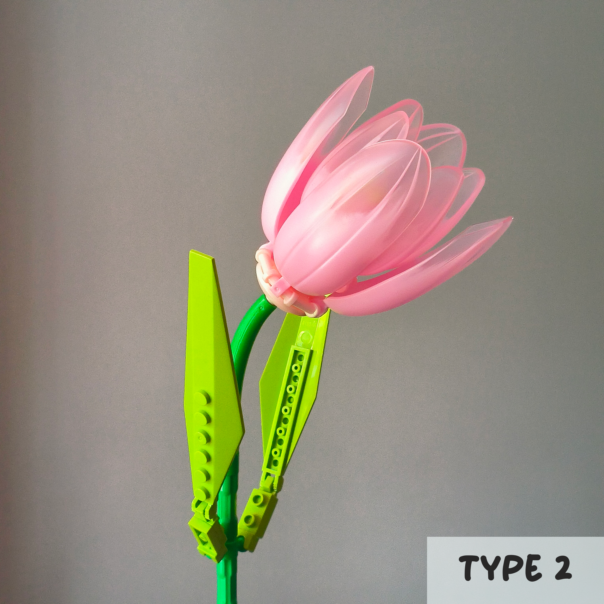 Pink Tulips_2