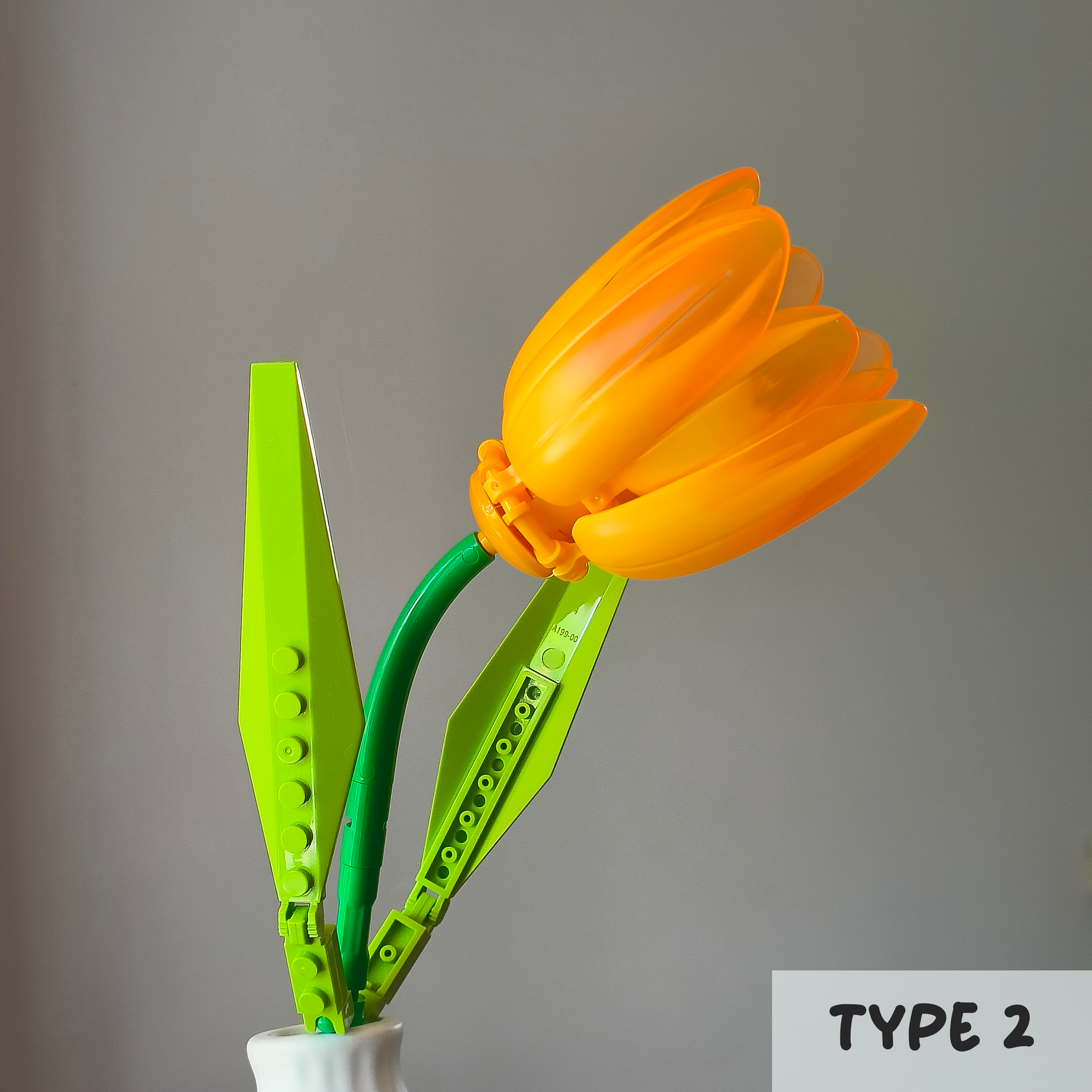 Orange Tulips_2