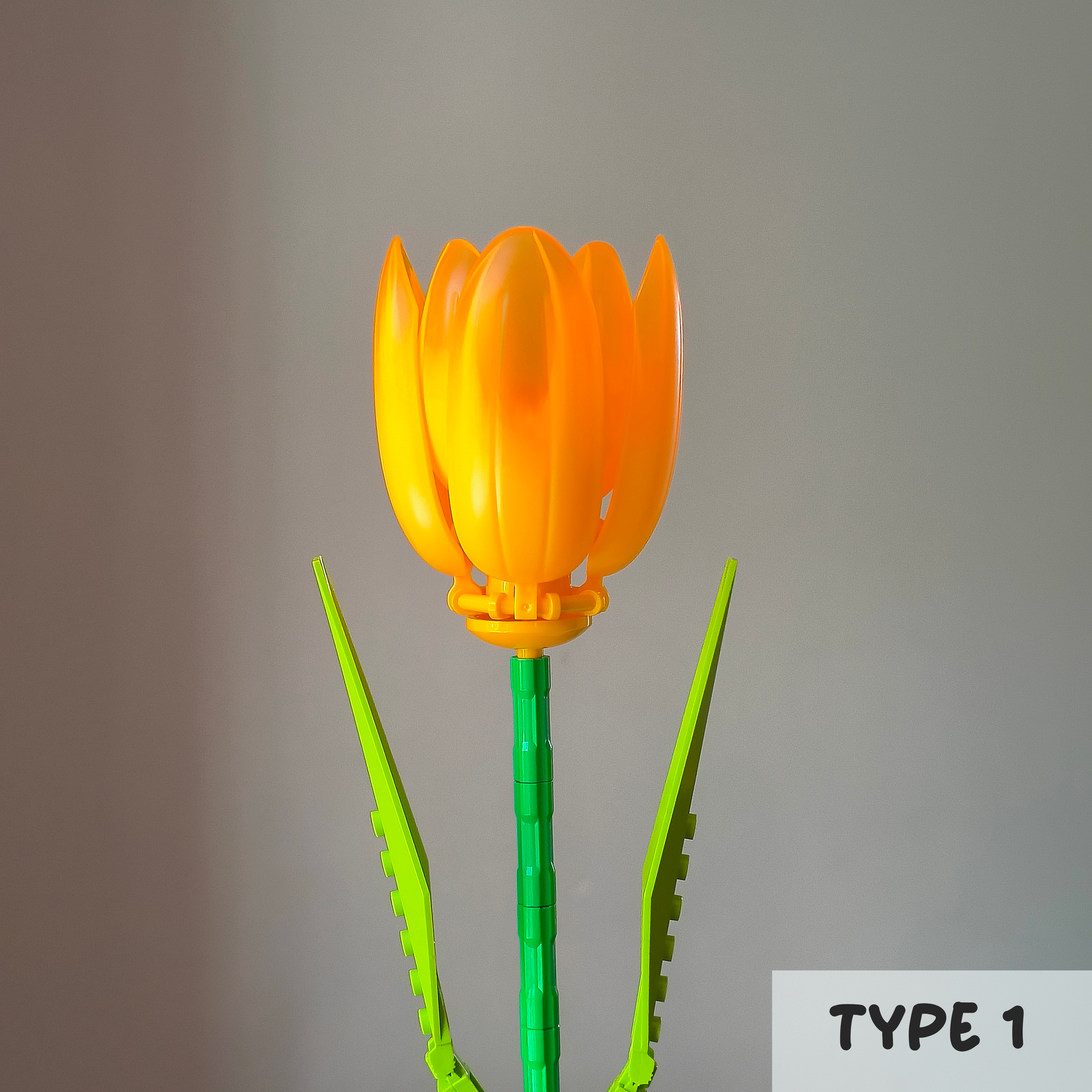 Orange Tulips_1