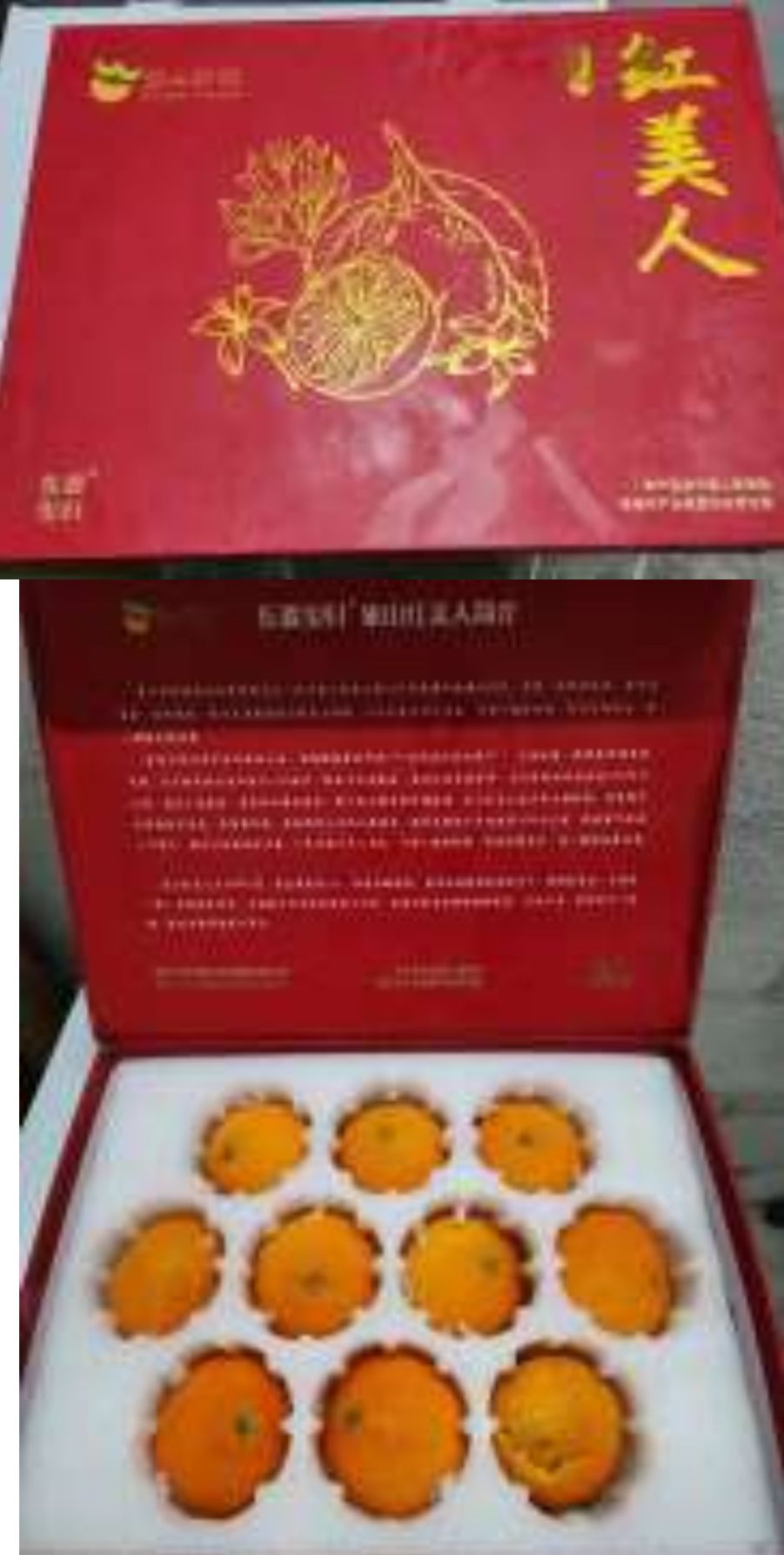 China Premium Red Beauty Mandarin 2.5KG (8-10pcs) CNY_1