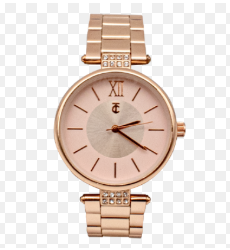 Paris Ladies' Watch _0