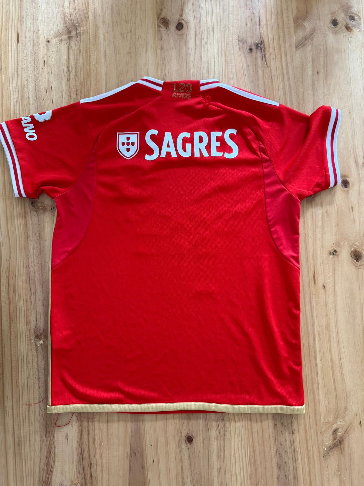 23/24 Benfica Home Jersey_1