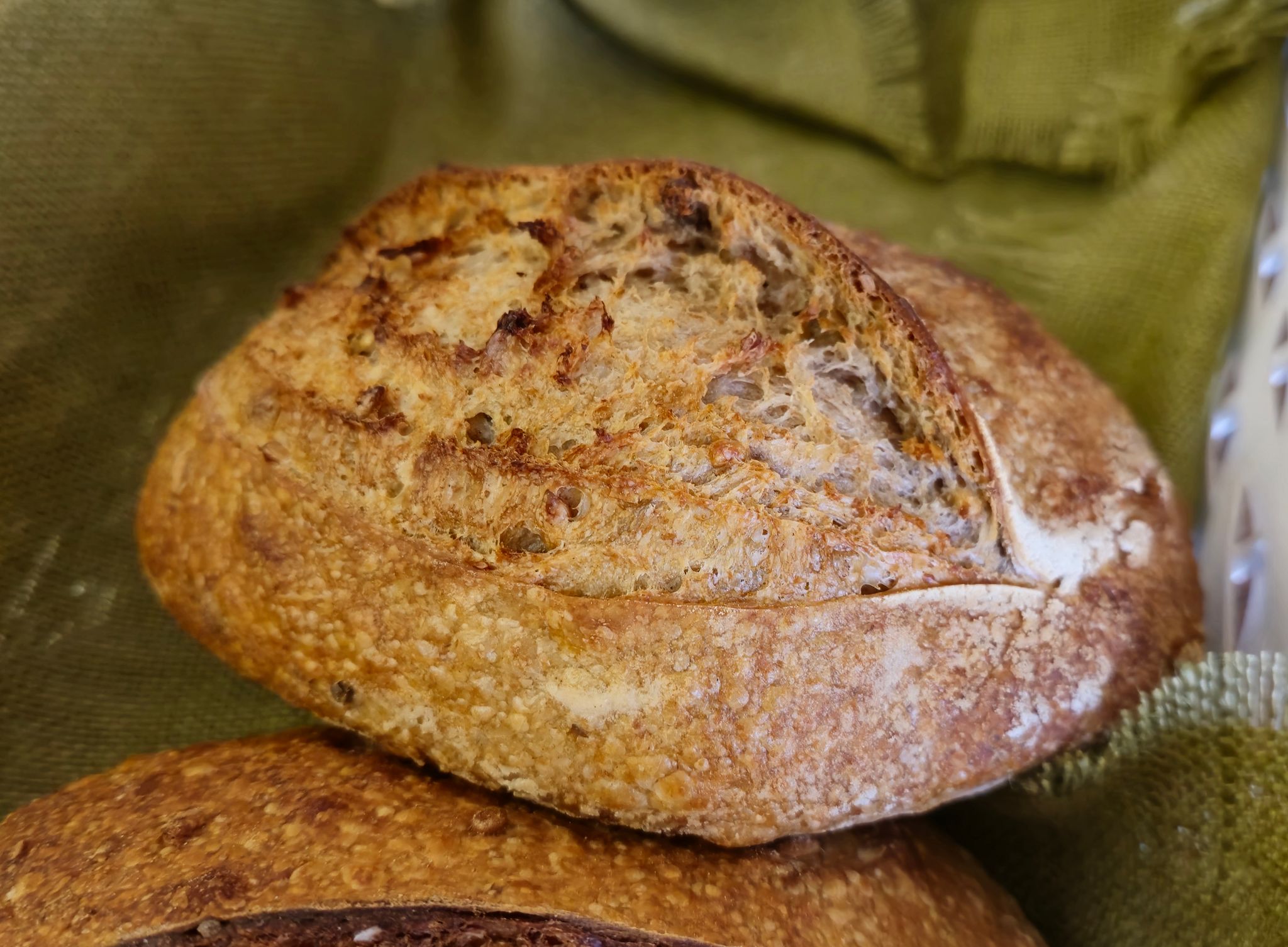 Whole Wheat & Rye_0