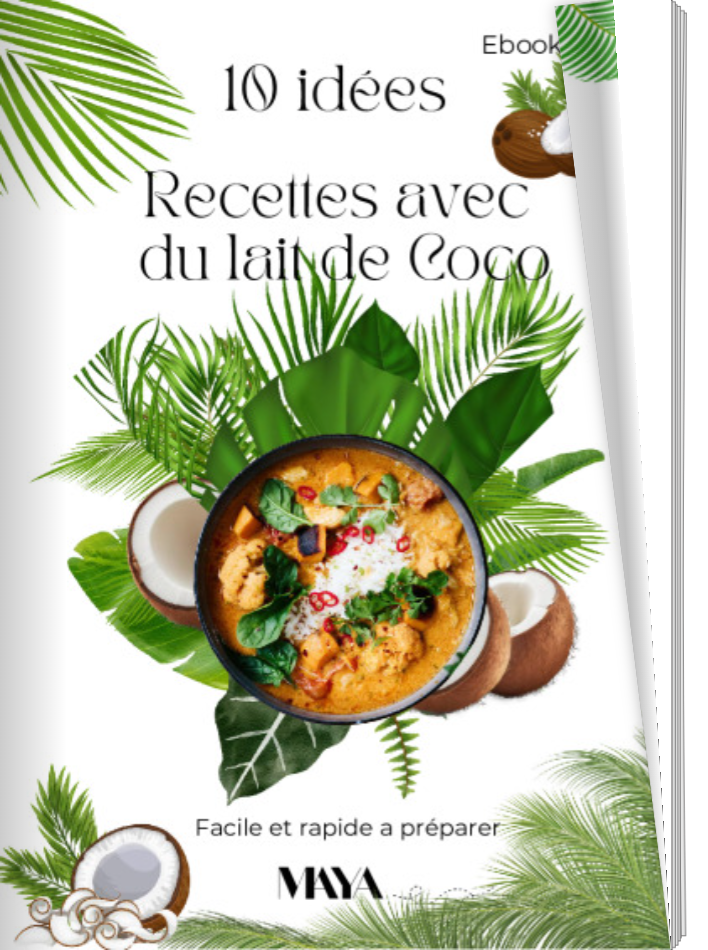 10 Idées de Recettes avec du lait de Coco_0