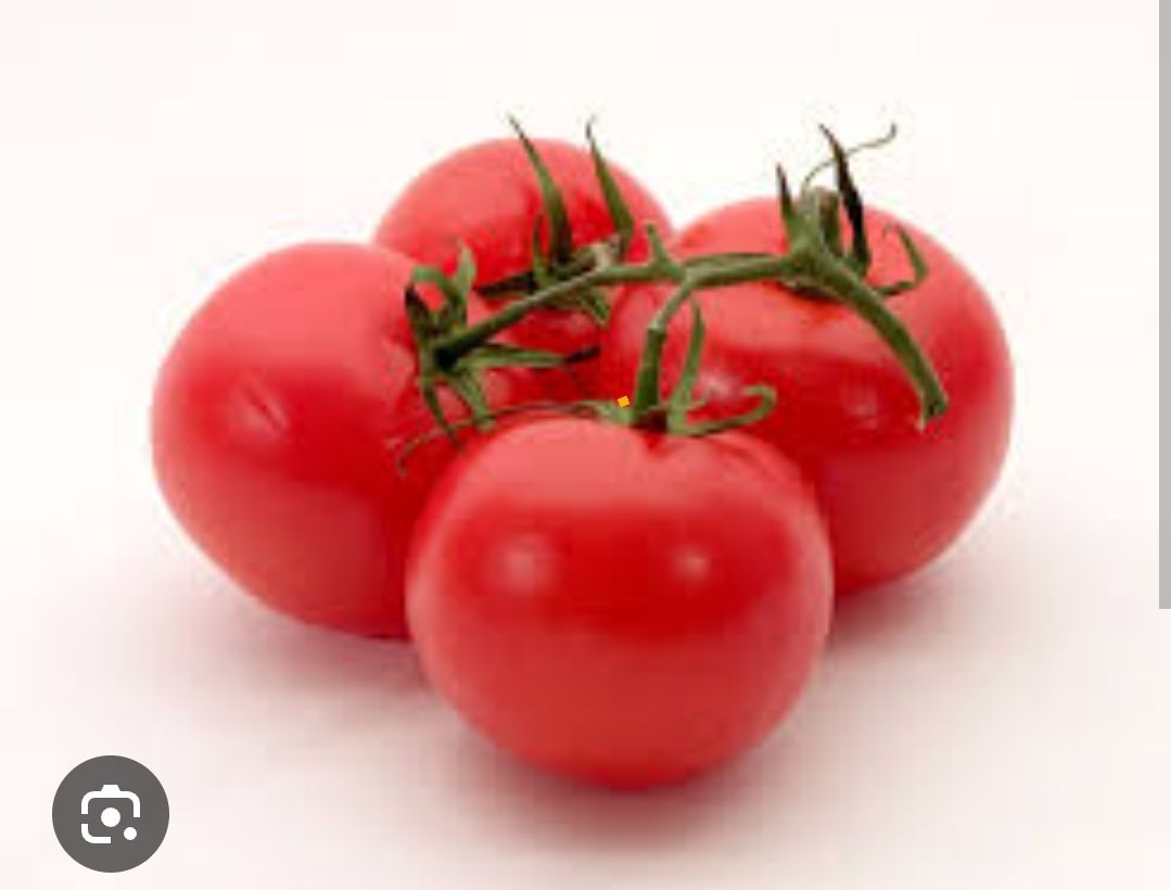 Tomatoes_0