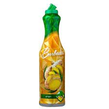 ББС Сироп 1 л. Имбирь (Ginger)_0