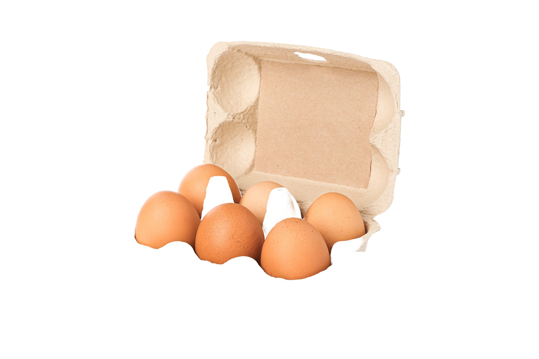 Fresh Eggs_0