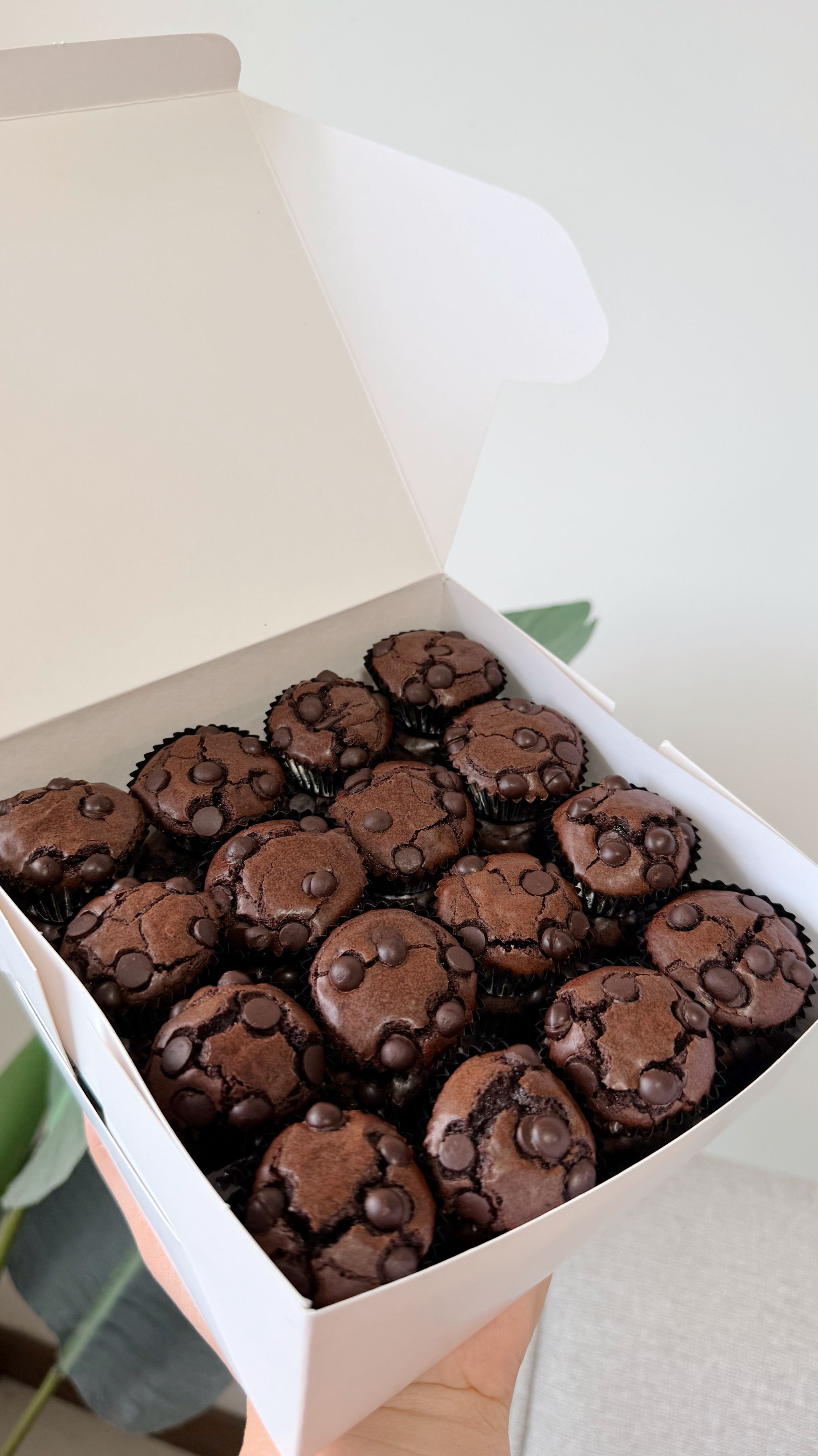 48-Piece Brownie Bites Box_1