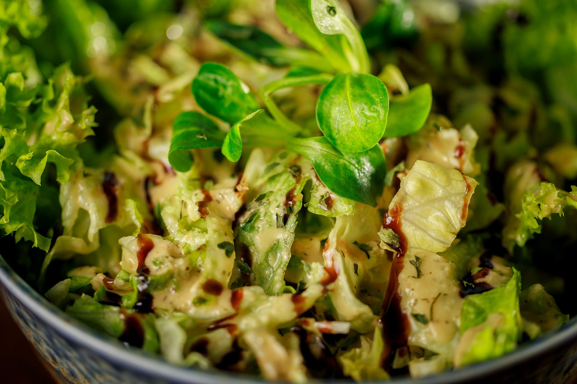 Grüner Salat_3