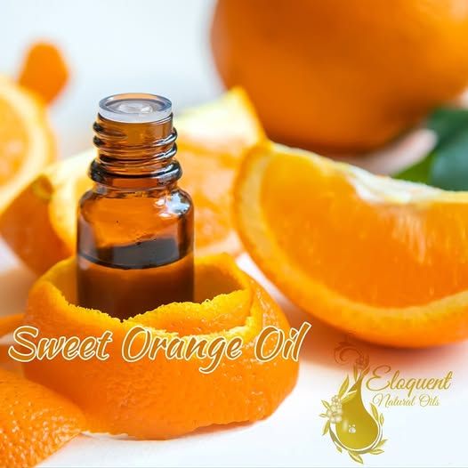 Sweet Orange Oil (20ml)_0