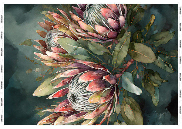 PROTEA ELEGANCE (VERTICAL) SML 400x300mm_0