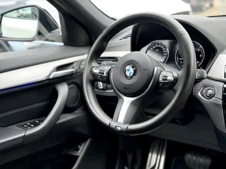 BMW X2 xDrive 20d M-Sport  2017_8