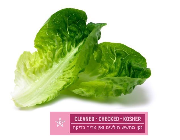 Romaine Hearts (2lb/32oz) _0