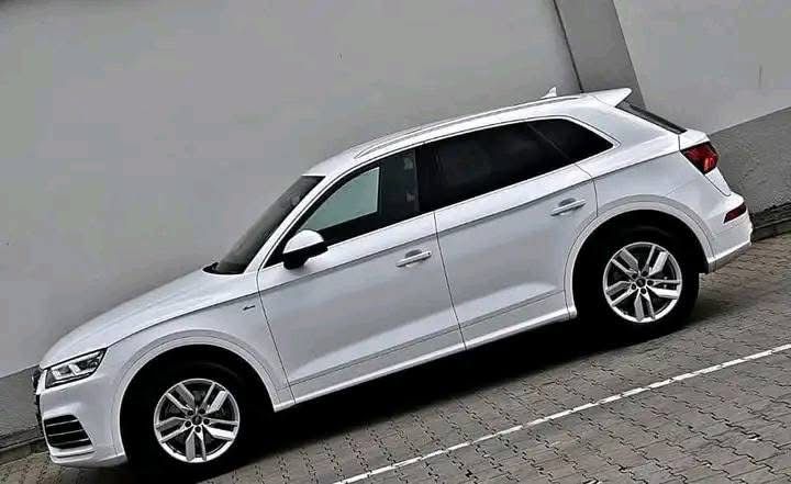 Audi Q5 /2020_8