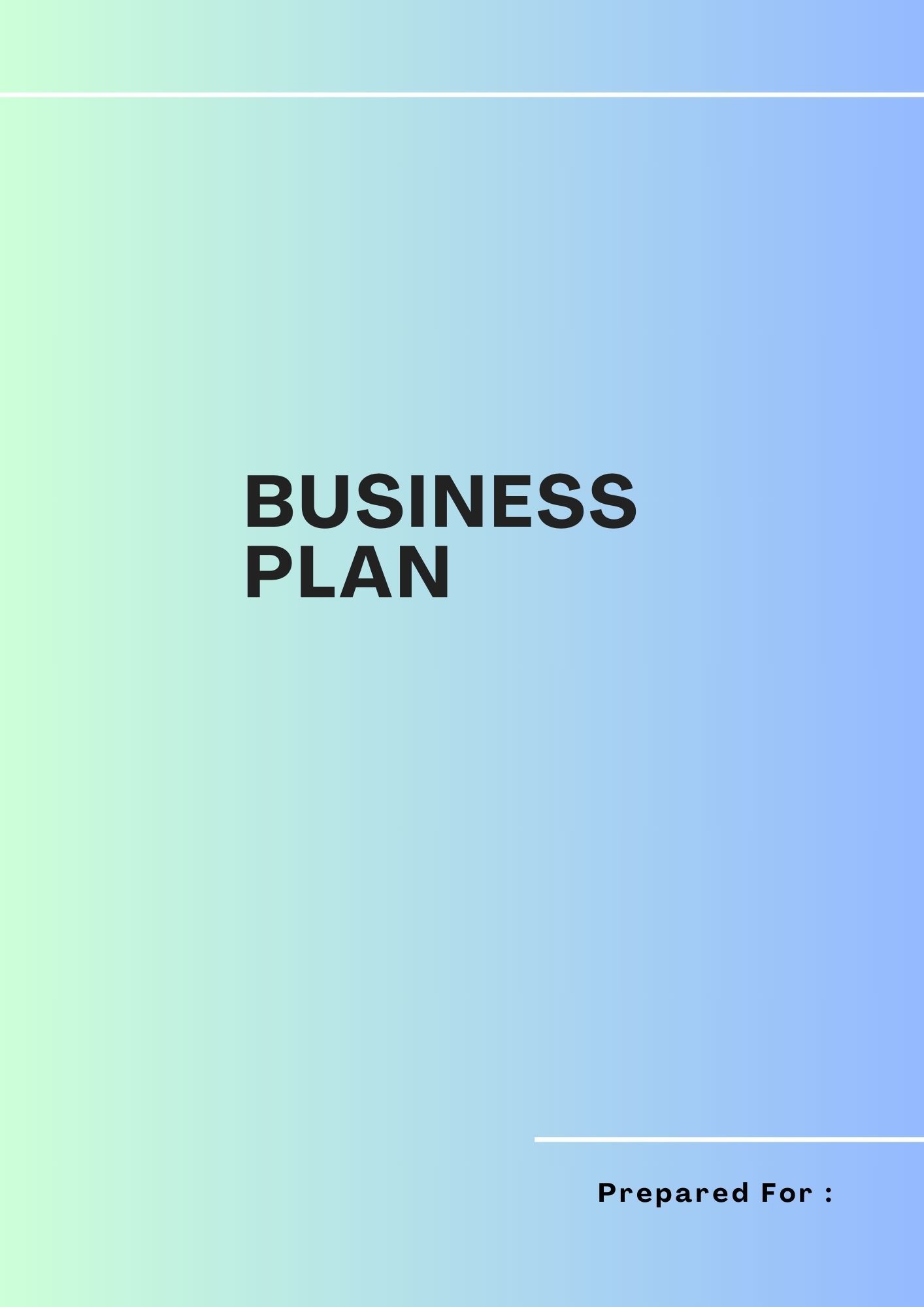 Business Plan _0