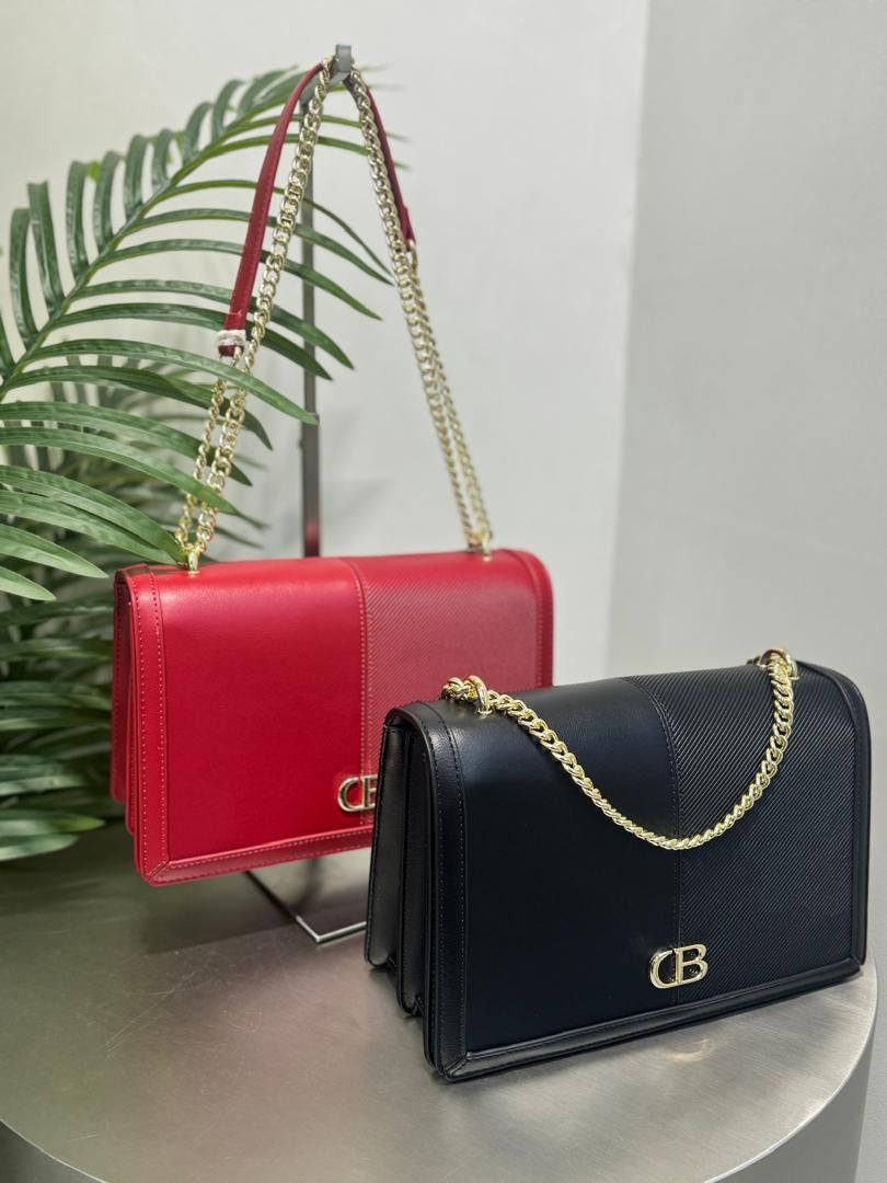 Chris Bella Hand Bag_0