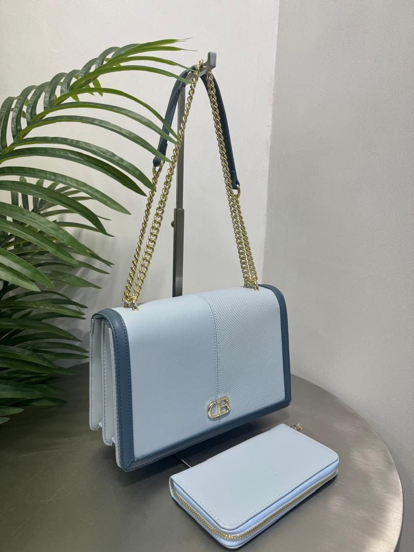 Chris Bella Hand Bag_1