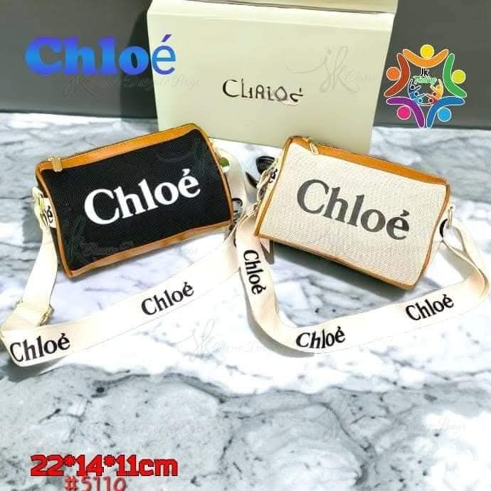 Chloe bags for ladies _0