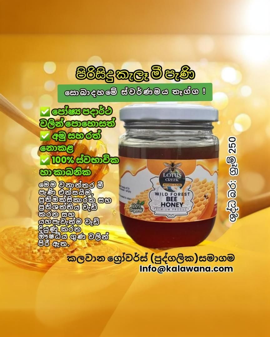 Raw Organic Bee Honey 250g_2