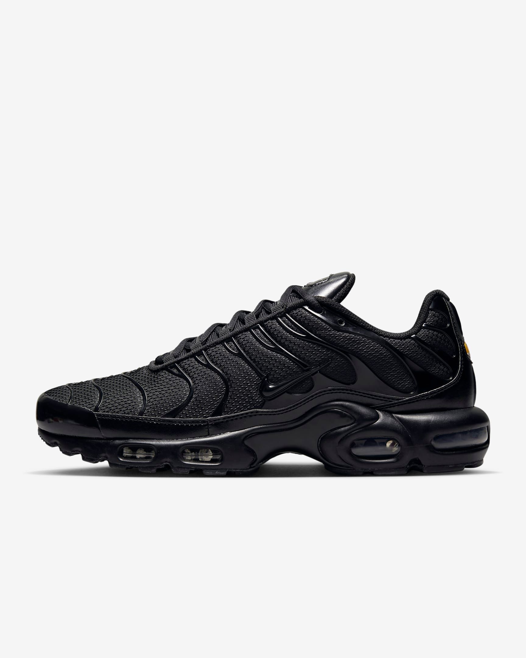 Nike Air Max Plus_1