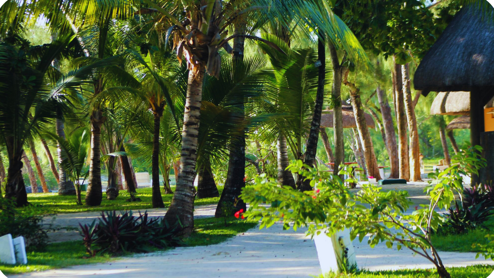 Discover Ile aux Cerfs: Shared Basics Speedboat Tour_13