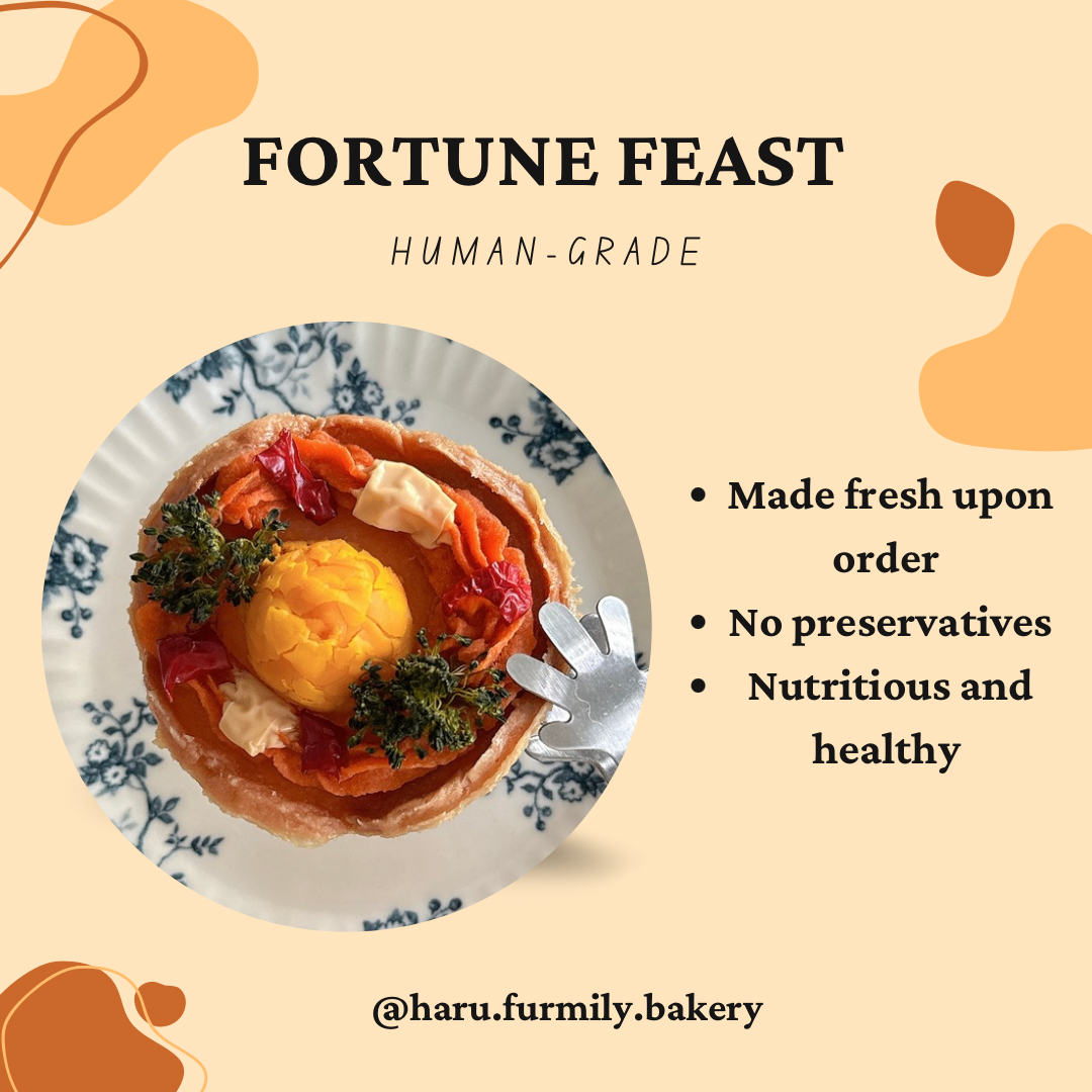 Fortune Feast_0