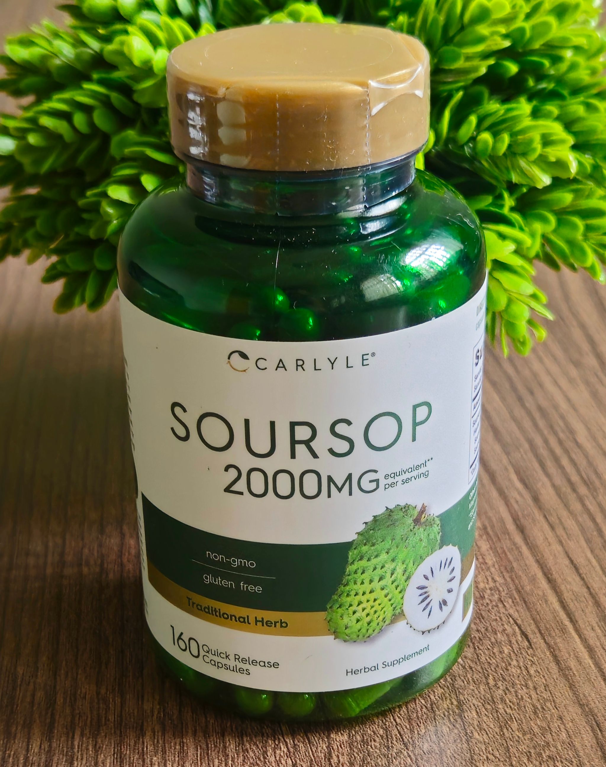 Soursop_0