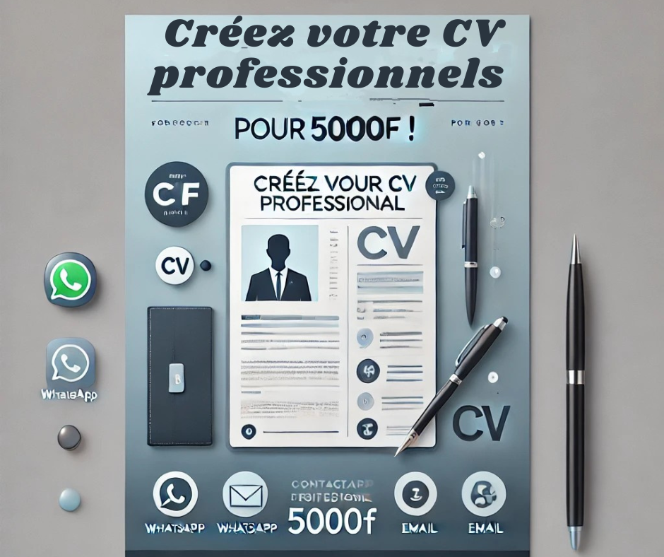 Cv professionnel _0