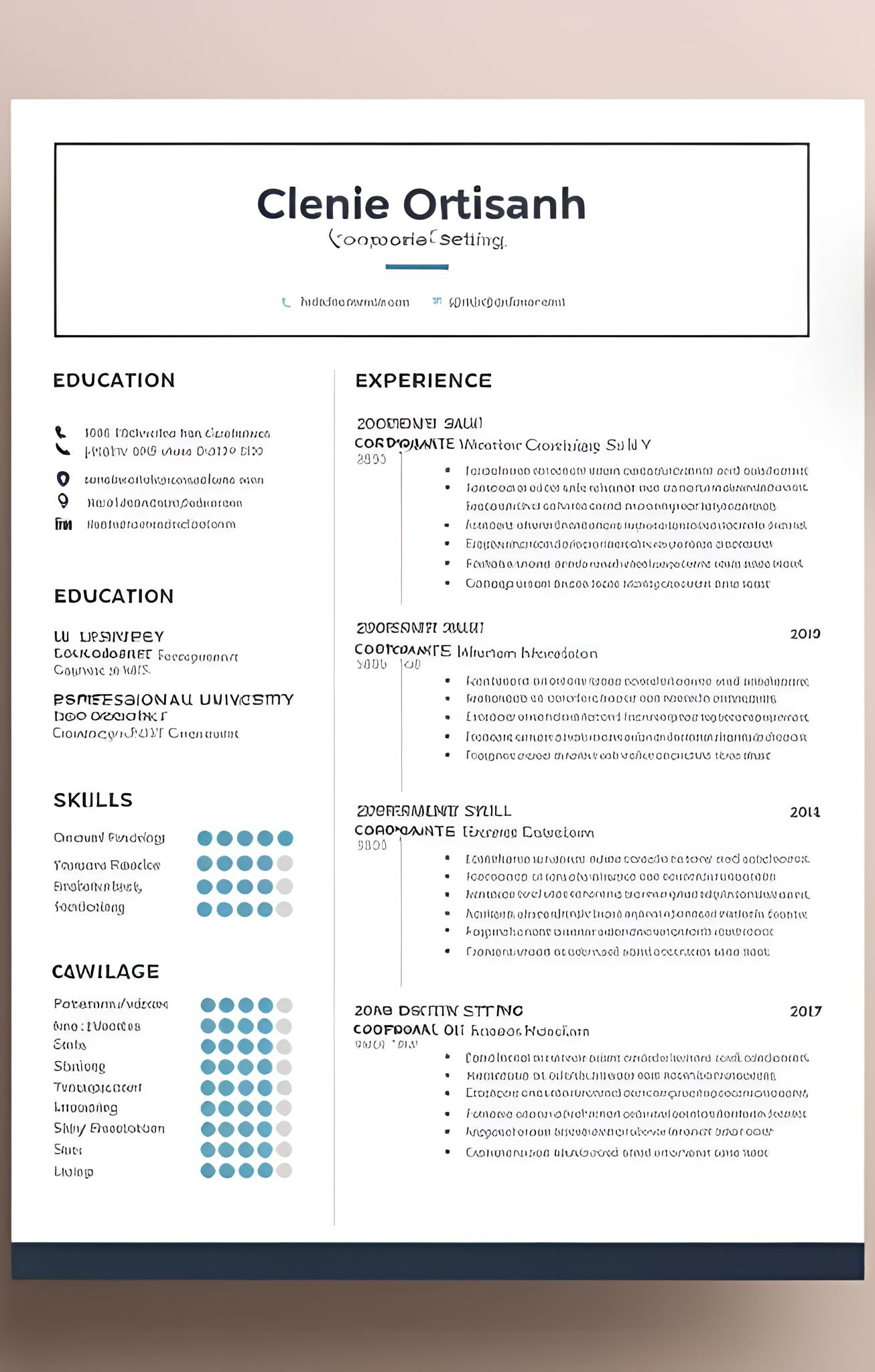 Cv professionnel _3