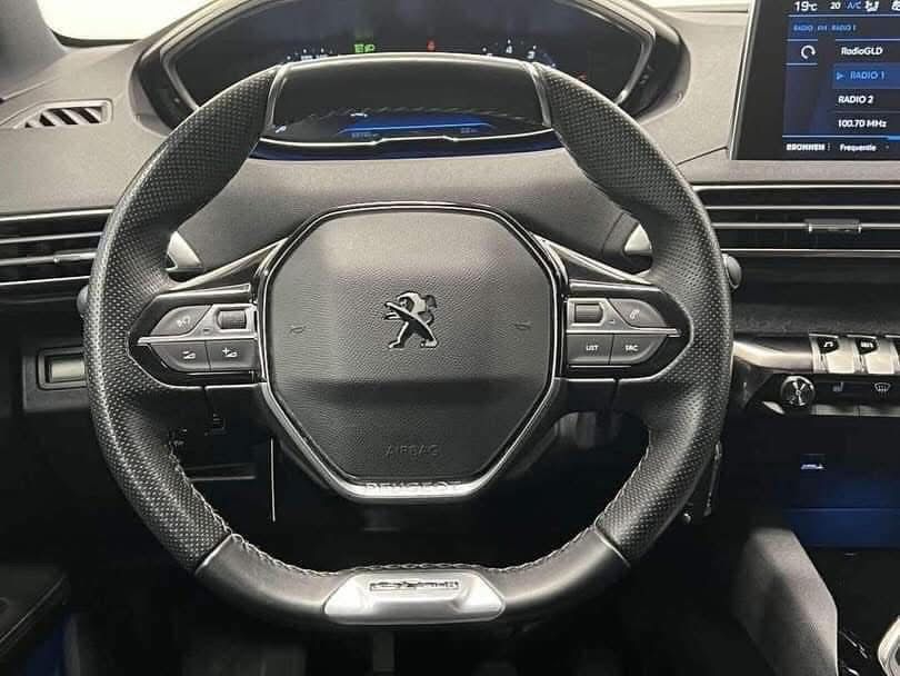 Peugeot 3008 /2020 _3