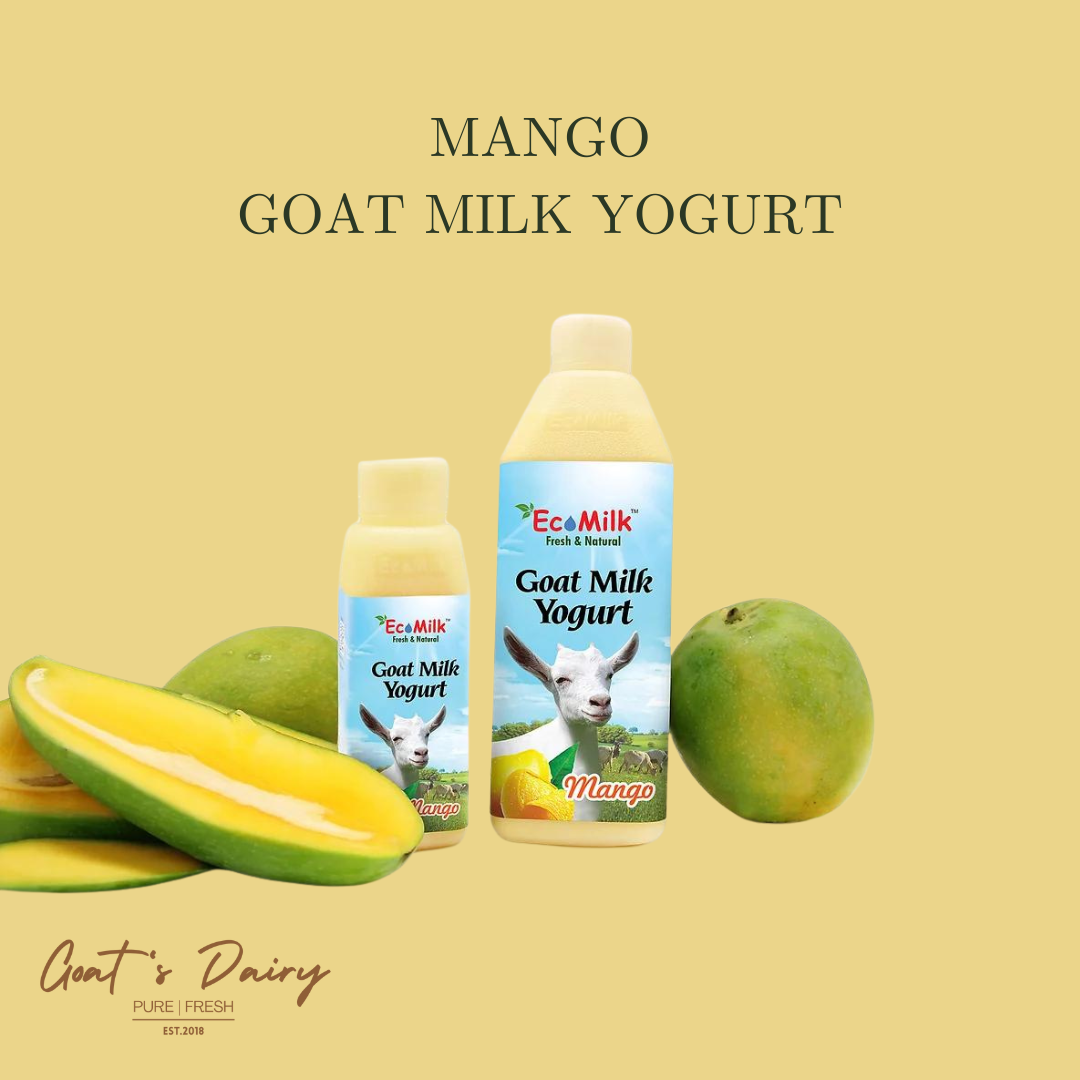 Mango Fruit Goat Milk Yogurt_0