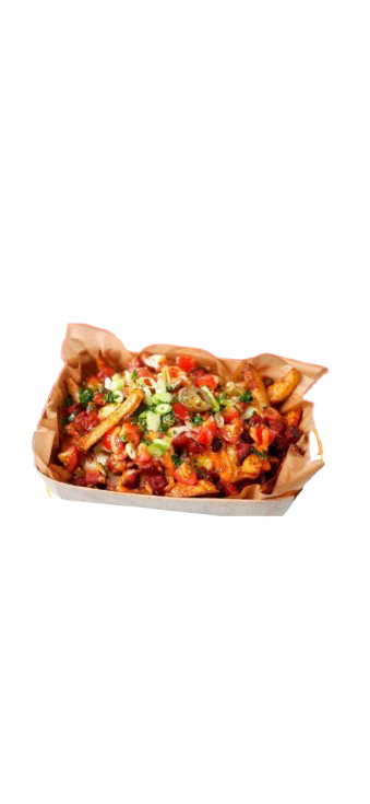 Chicken loaded fries _0