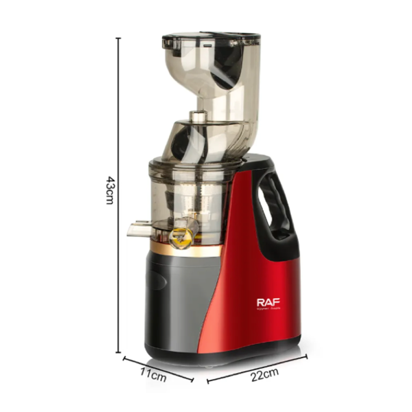 RAF Slow Juicer Extractor | R.2831_1