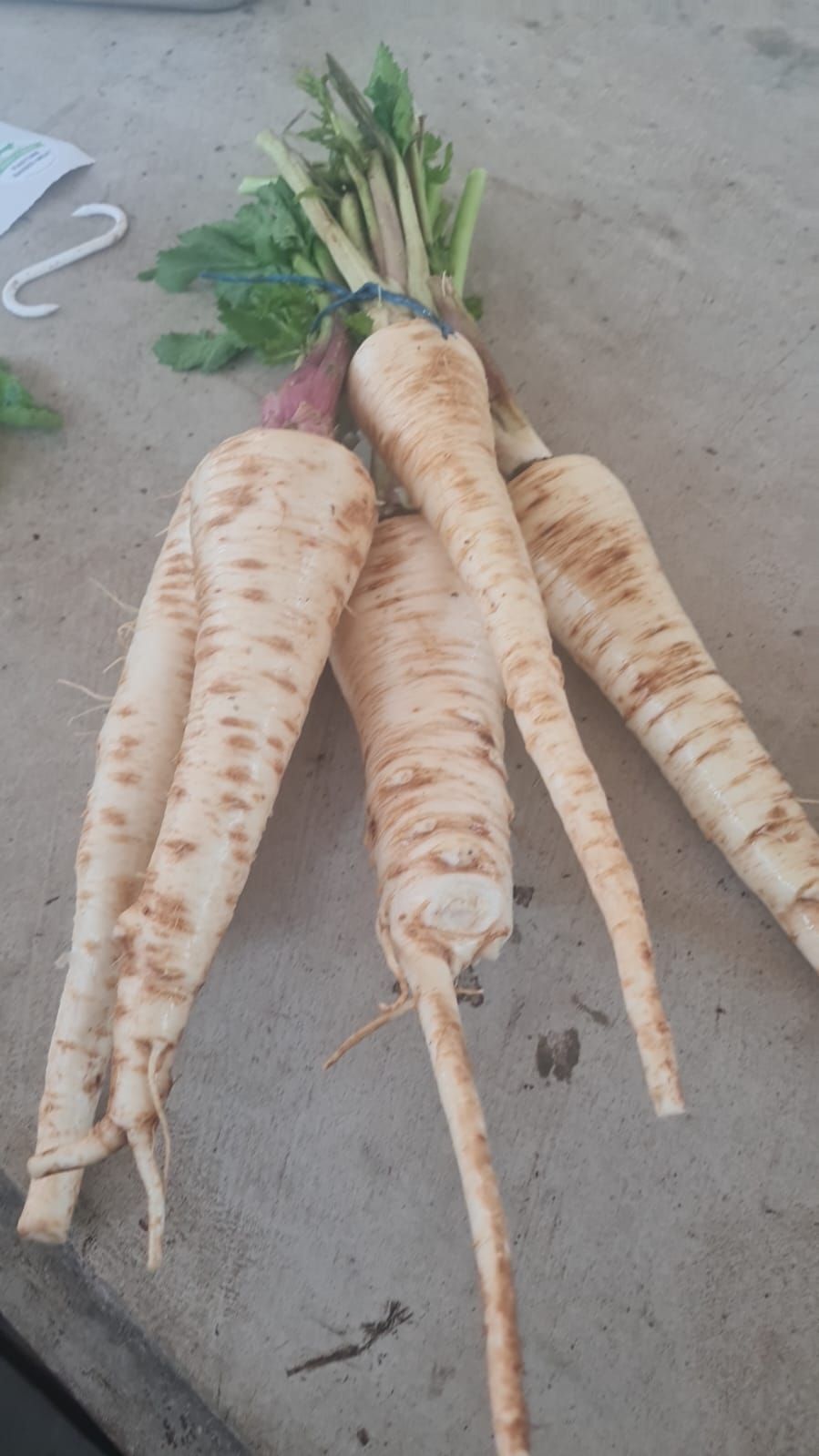 1kg parsnips_0