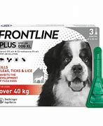 Frontline Plus Dog S (0-10kg) 1pip_0