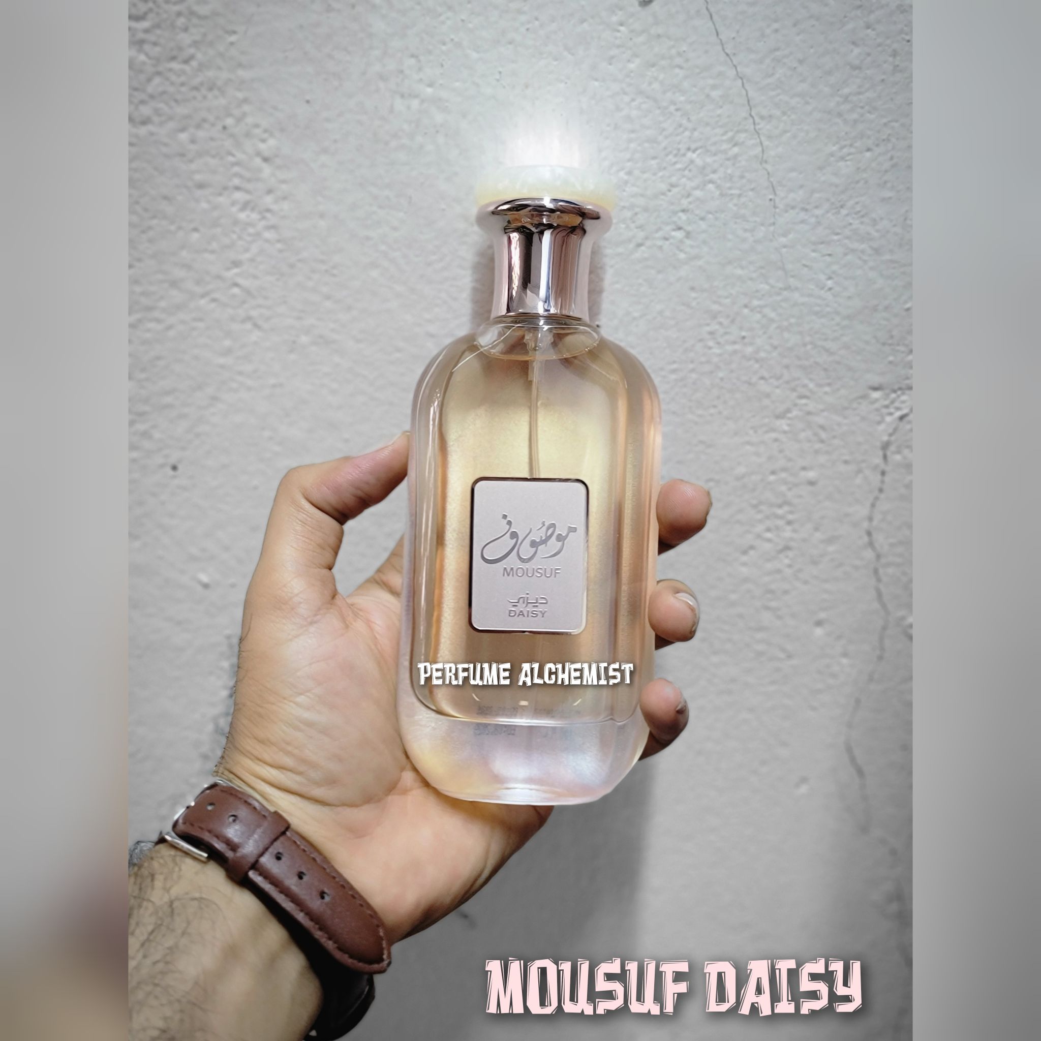 MOUSUF DAISY _0