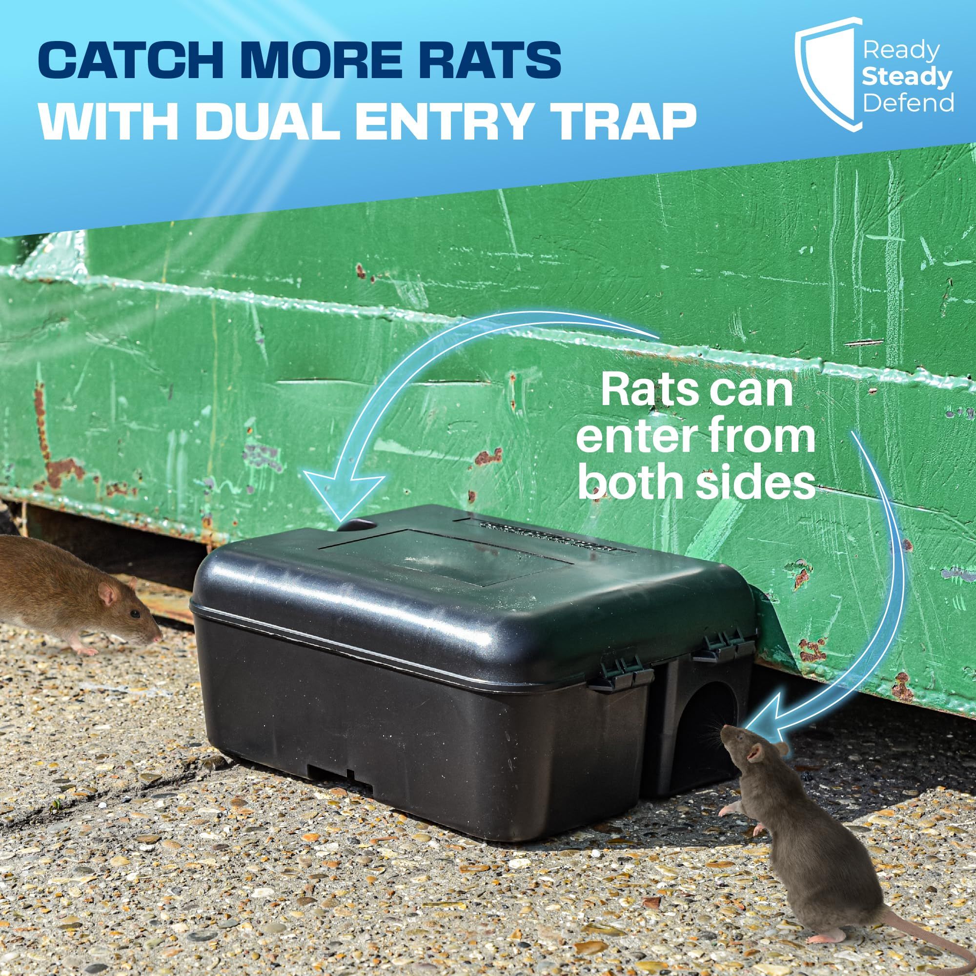 Rat Traps_0