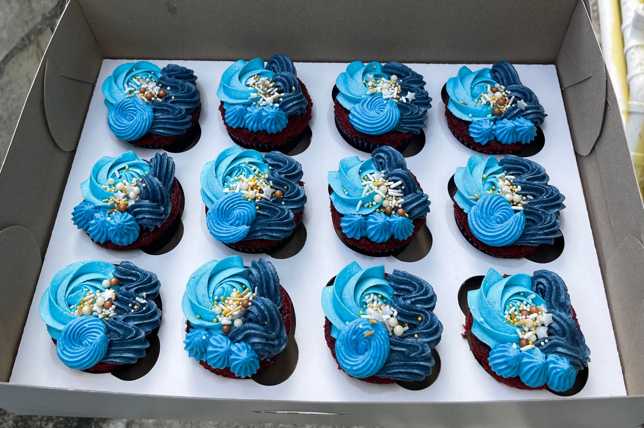 Shades of Blue Cupcakes _0