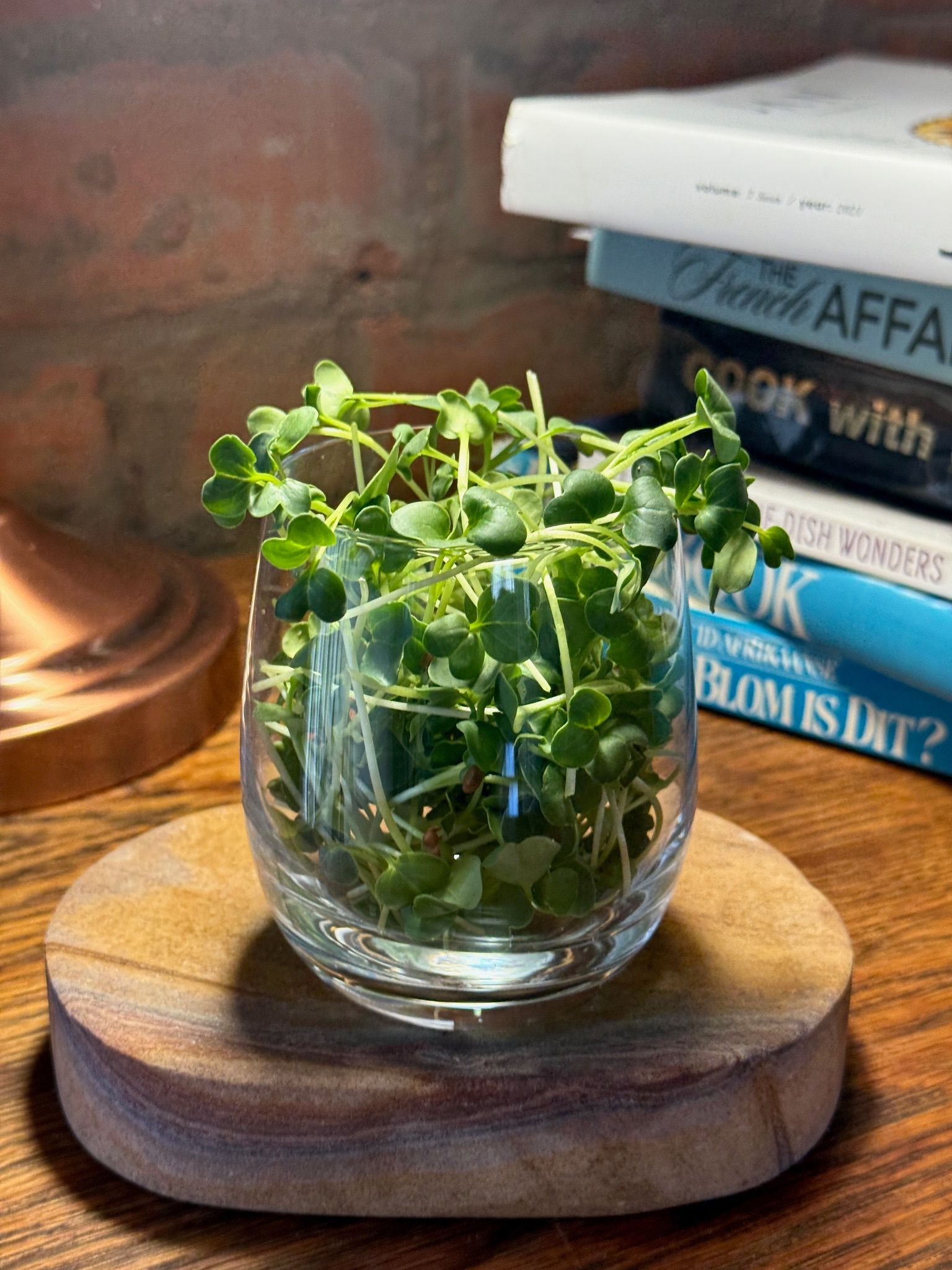 Japanese Radish Microgreens - 30g_1