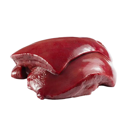 Foie de Boeuf_0