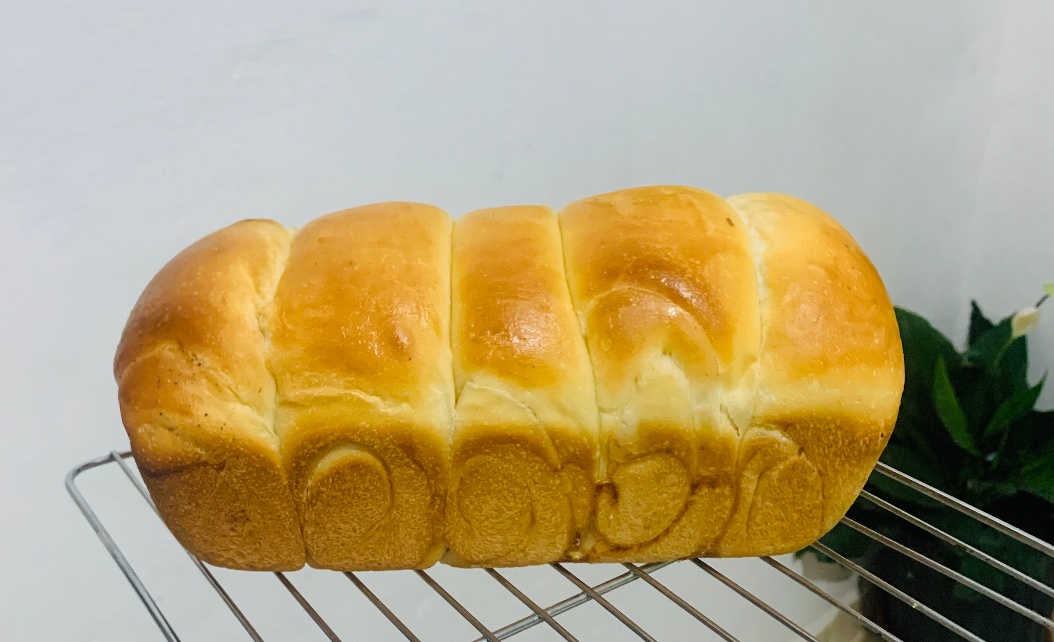 Brioche (pack de 5)_2