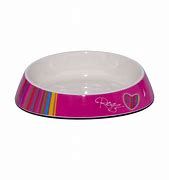 CAT BOWL SMALL_0