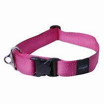 XXL CLASSIC DOG COLLAR_0