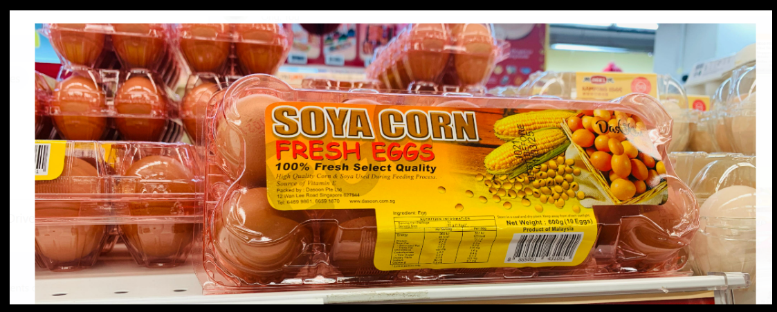 SOYA CORN EGG (10 per pack)_0