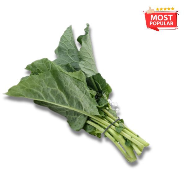 Cabbage Leaves _0