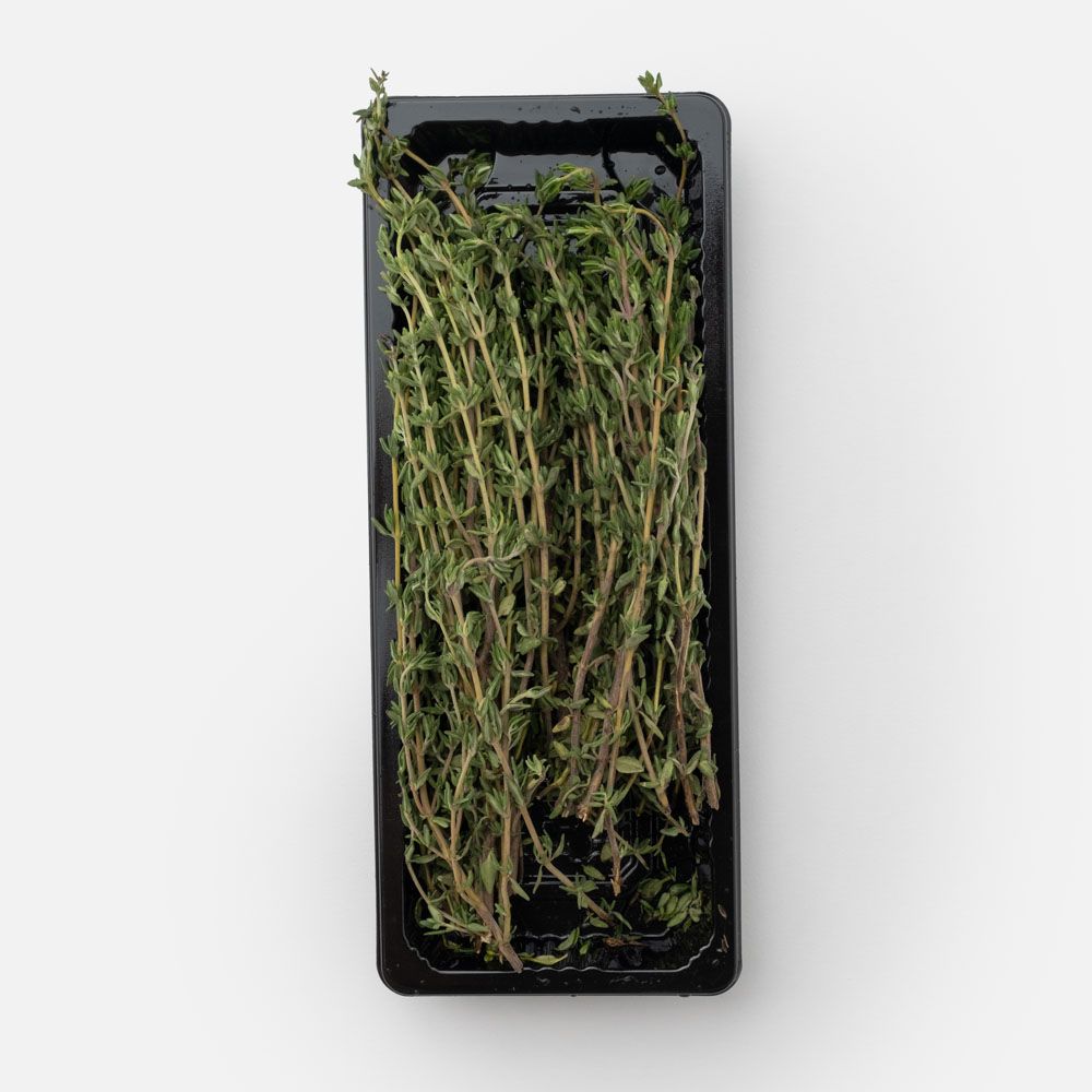 Roots Thyme_0