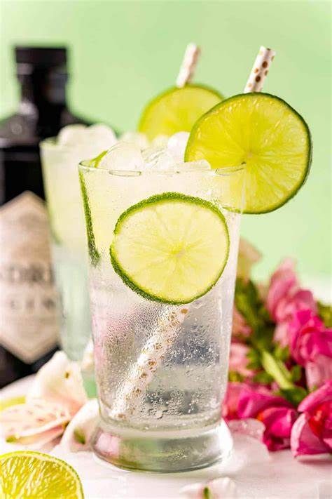 Gin And Tonic_1